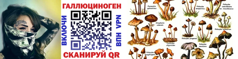 Галлюциногенные грибы Magic Shrooms  Покачи 
